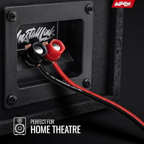 Speaker wire connected to a terminal with home theatre text.